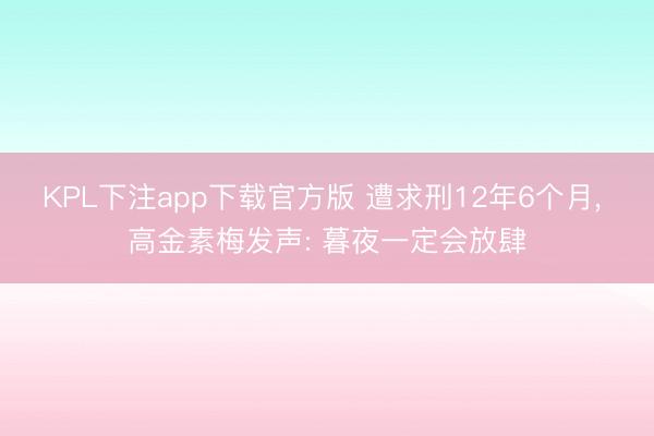 KPL下注app下载官方版 遭求刑12年6个月， 高金素梅发声: 暮夜一定会放肆