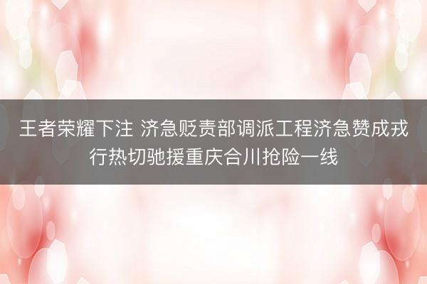 王者荣耀下注 济急贬责部调派工程济急赞成戎行热切驰援重庆合川抢险一线