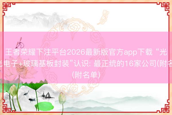 王者荣耀下注平台2026最新版官方app下载 “光学光电子+玻璃基板封装”认识: 最正统的16家公司(附名单)