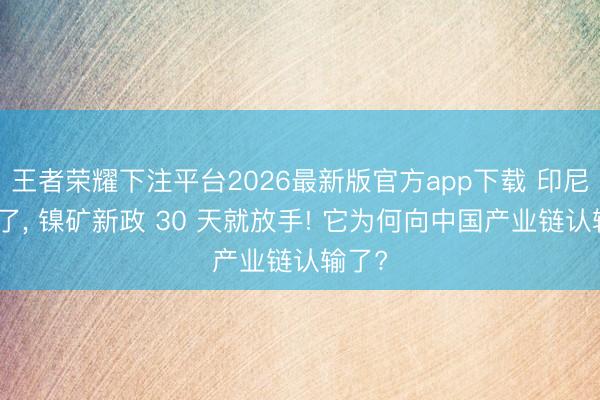 王者荣耀下注平台2026最新版官方app下载 印尼谐和了, 镍矿新政 30 天就放手! 它为何向中国产业链认输了?