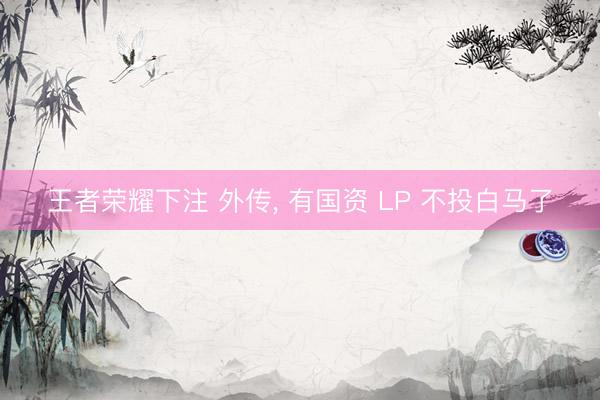 王者荣耀下注 外传， 有国资 LP 不投白马了