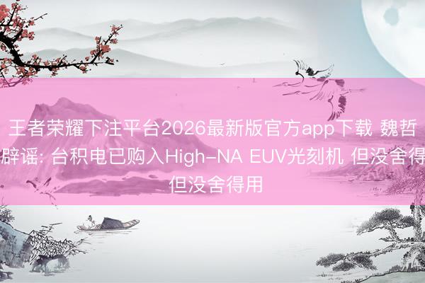 王者荣耀下注平台2026最新版官方app下载 魏哲家辟谣: 台积电已购入High-NA EUV光刻机 但没舍得用