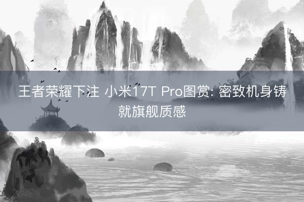 王者荣耀下注 小米17T Pro图赏: 密致机身铸就旗舰质感