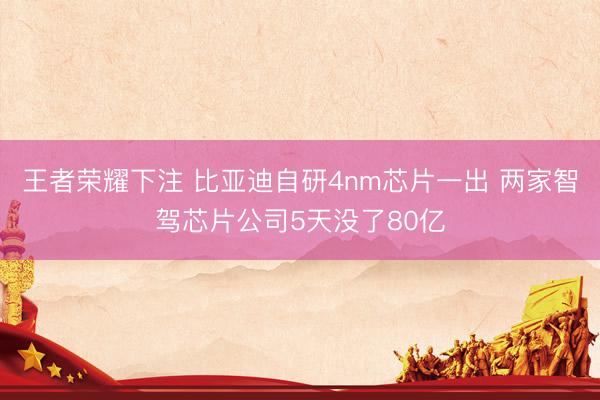 王者荣耀下注 比亚迪自研4nm芯片一出 两家智驾芯片公司5天没了80亿