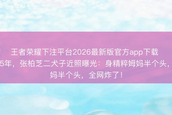 王者荣耀下注平台2026最新版官方app下载 独自带娃15年,张柏芝二犬子近照曝光:身精粹姆妈半个头,全网炸了!