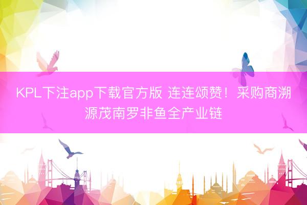 KPL下注app下载官方版 连连颂赞!采购商溯源茂南罗非鱼全产业链