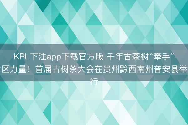 KPL下注app下载官方版 千年古茶树“牵手”湾区力量!首届古树茶大会在贵州黔西南州普安县举行